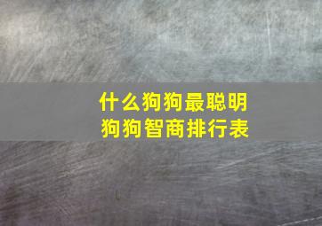 什么狗狗最聪明 狗狗智商排行表